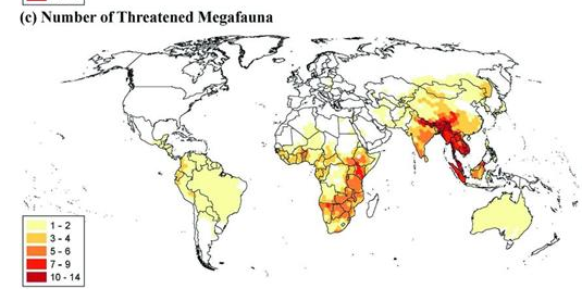 4. Megafauna risk extermination.It is important that we keep up the work."Megafauna populations havebeen able to recover some of their lostnumbers because of strong conservation and political commitment."Quote "Original Document" not given by Ben https://watermark.silverchair.com/biw092.pdf?token=AQECAHi208BE49Ooan9kkhW_Ercy7Dm3ZL_9Cf3qfKAc485ysgAAAq8wggKrBgkqhkiG9w0BBwagggKcMIICmAIBADCCApEGCSqGSIb3DQEHATAeBglghkgBZQMEAS4wEQQMrJvI0jOvrIZADcJvAgEQgIICYlZDXKP_ssdu1hMPrOajbcMo_AH8ag6iJepx-wt4d7fkk2qYkKTh5DAR-1XxWsazIop0g_oNQEEuDzhuIjHNB3cR-7HkW1yY6a3vcKNMtKDNi0jK8nInZer58ptOL1U6oZyAEZmhc-DHGOG89tGA9tApzqEL6JI9fC8kxnNt79sE5w3-d_TYMUOk-Qtg38UXgAid1ATxEhS5VDKLwNOXSKB0bhrxZu5mCdJTes-WL-CmnkcKJ1EeNAgKWQeM1Q3c8EWwHAL6OmjuBvaQs100zrjj8BWSuJoW_e3ZHKOaLpY4DUy5EsWxuot7DksBybvk4CdCORzrMU0QSR7ZwAt0dtWXwCmhAXrceKABLg_lphgWP82S1DT3mQxucdR7OBICoJ3RFBcnQKMjzgzdnNPkD4RbbePObV86MxNh1tTwl0ReOyomhIRFoDP1M3FHPxUt976ZYkr_Afht3eDSqDlxEt4Qi2PoDnOgLXA5gQ4MSZyFK325zlGZ56YbiHOuHUCilFGVy99XSn_fcsw3VClEU1Ips71MZ40TASOcAiBPxulAD47qXdv5CWL3gevKT38z5y9AIA2MCWMgCFGdGPr28GENG40rZQIM4q-YFOoOByesqaLZnoqJwhA1S54anP81G2DuKGvOefcCyJxHdf8ek_unlfRkOjLjqDX07jNhpP4_UEQb0WP5aME8_zUmKLOBpebaVYVw6uQGLxymzrN4RJ2d3mw3swpPRfNy5UI0zwDZYL7rgmcG_AdNYqQmTmGDqvPEBTRLxgUrRUPhSh0gDqz9k5iQx218tBVvmDdYjRI7P3U