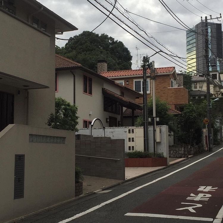 have you ever been out of your country?