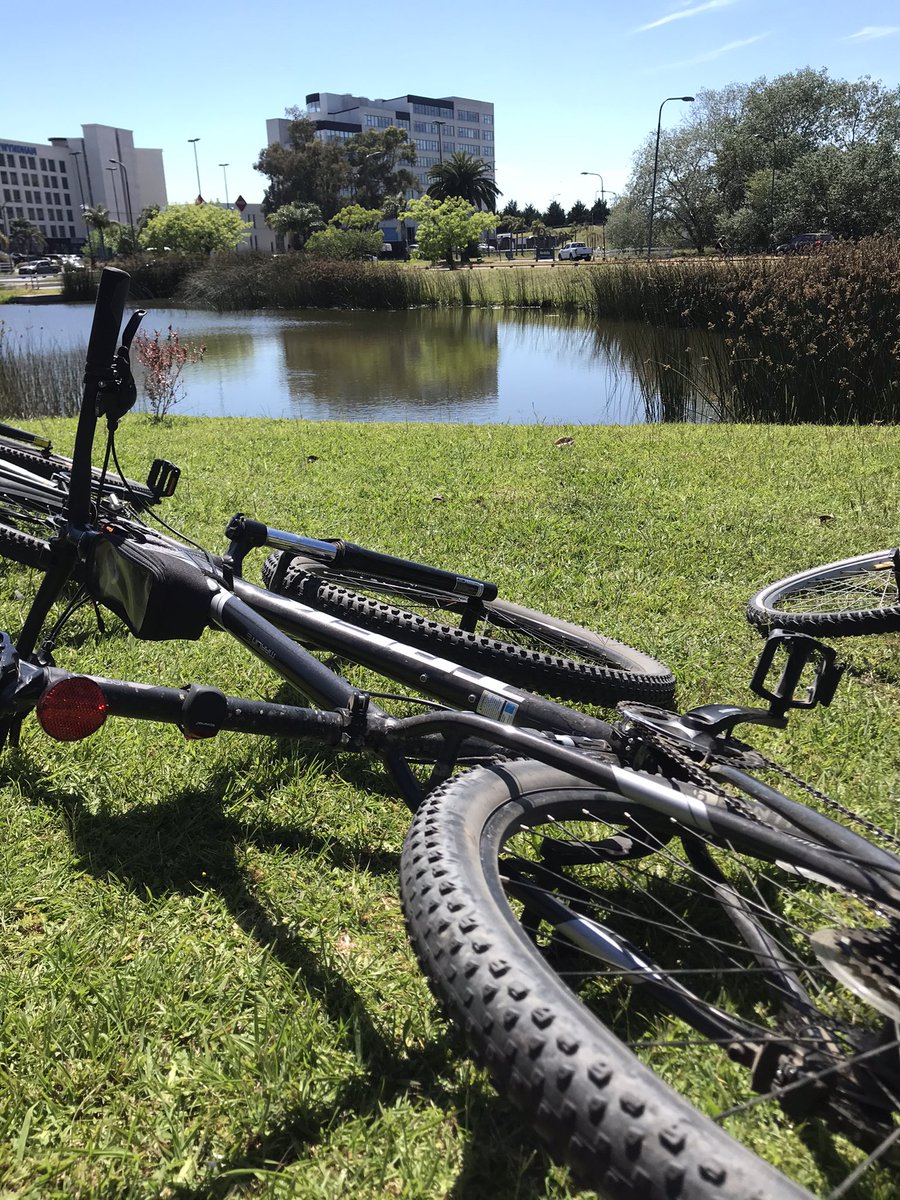 Disidente2011's tweet photo. Me acaban de robar esta bicicleta Trek en Pueyrredon y Las Heras. Un ladrón con remera azul, mochila y vestía shorts; algo corpulento. Ocurrió a las 19hrs.
Ayuda por favor.  Hasta un RT ayuda. https://t.co/H6dorAuv7Y