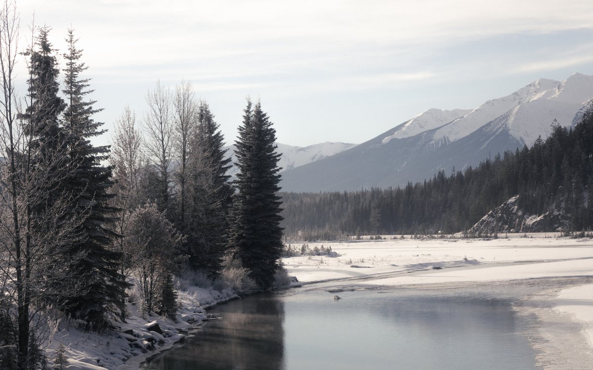winter in the canadian rockies ❤️