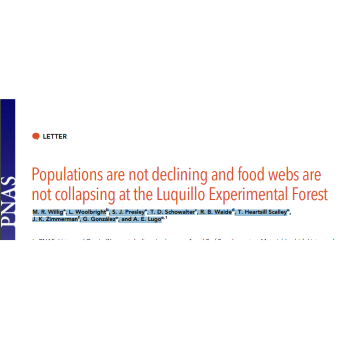 5. Insects are vanishing? This Washington post Article has been refuted by M. R. WilligaL. WoolbrightbS. J. PresleyaT. D. SchowaltercR. B. WaidedT. Heartsill ScalleyeJ. K. ZimmermanfG. Gonz ´alezeand A. E. Lugoe https://www.pnas.org/content/pnas/116/25/12143.full.pdf