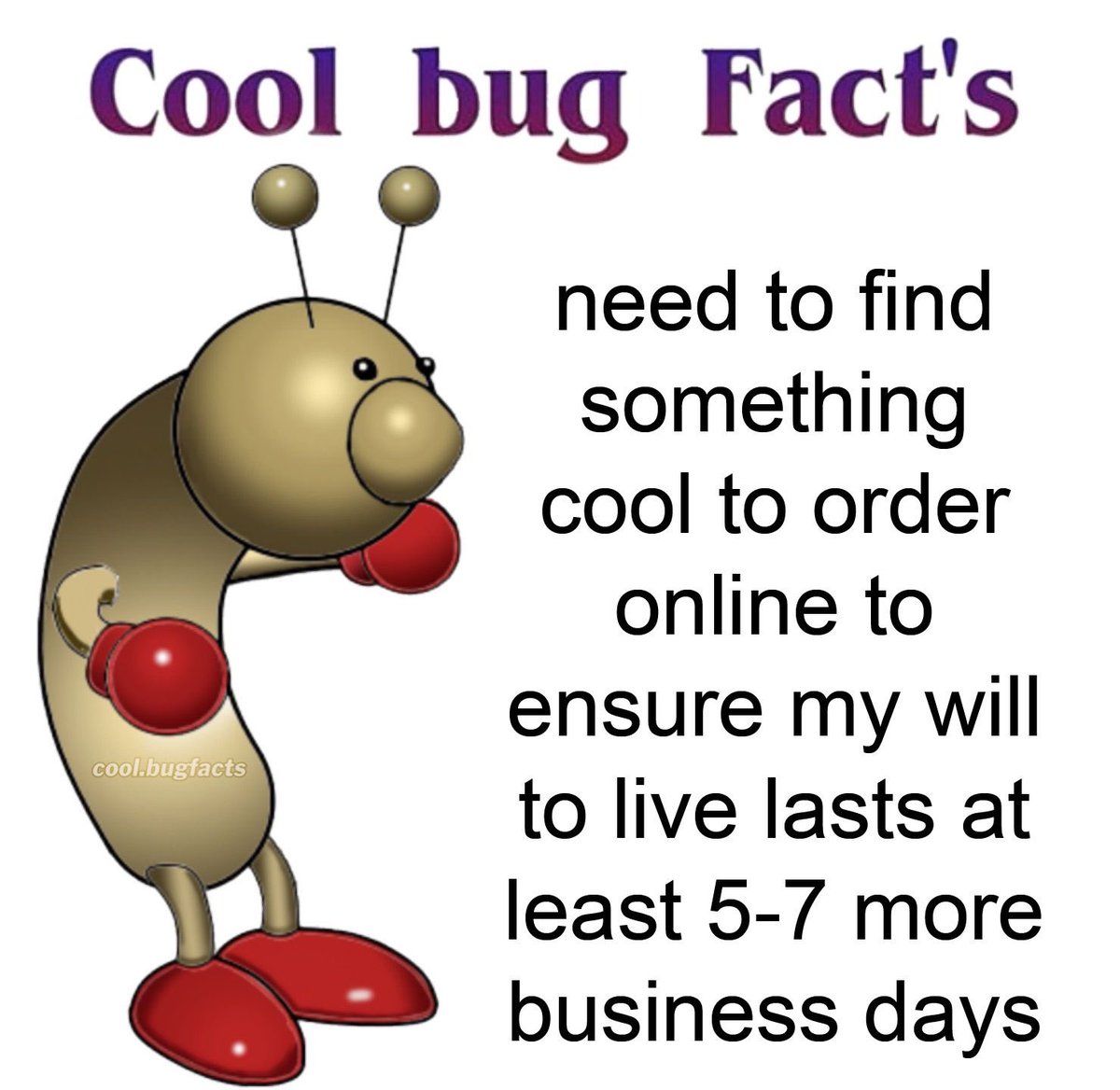 cool_bugfact's tweet photo. https://t.co/s9JwBGLefJ