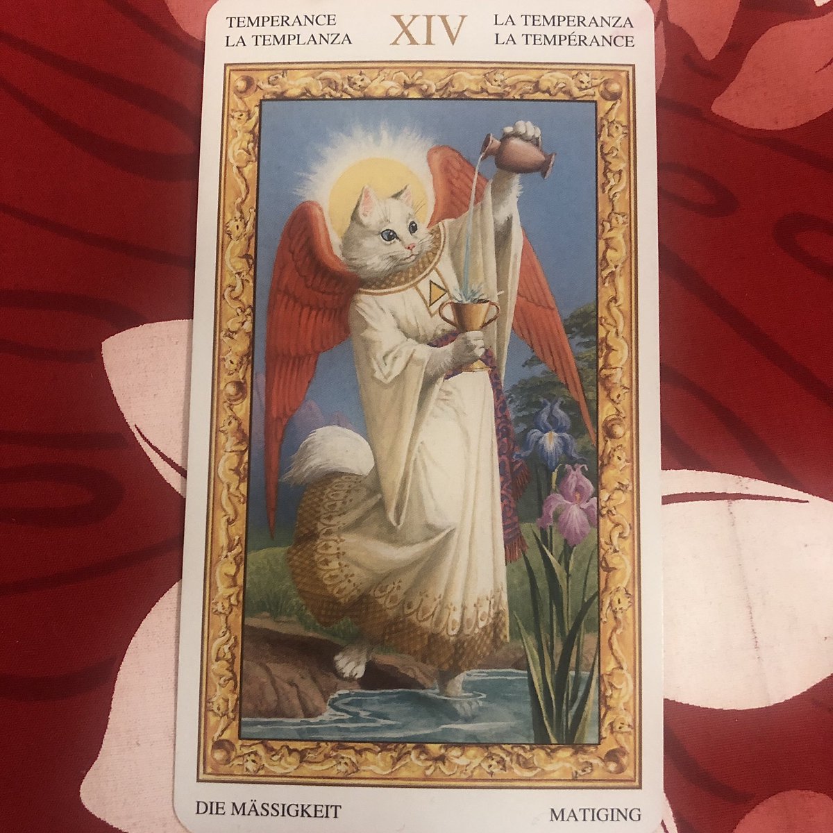 Xia K 87 生きているうちに4a見たい 勝手にタロット ﾉo ｺｯｿﾘ 22枚の大アルカナ 7枚使うヘキサグラムで 2枚しかない羽が描かれているカードが2枚とも出たよ 羽生くん 節制と最後の審判だった 勝手に羽生くんを占ってみた タロットカード 羽生結