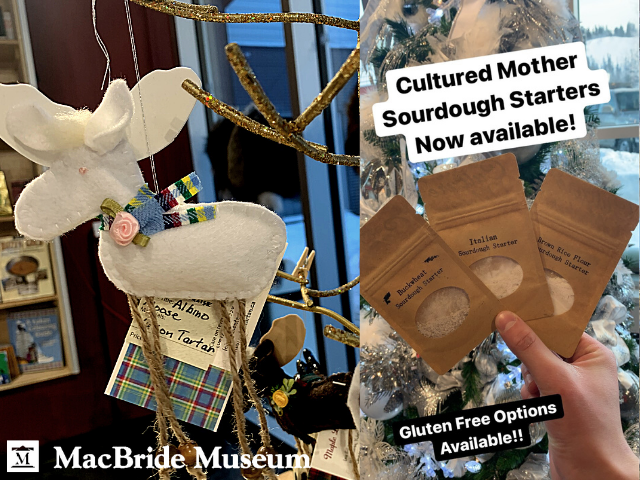 Looking for the perfect Christmas present?
Come check out MacBride Museum's newest Holliday Picks
Masks by Evelyn -$15
Yukon Pioneer Women 2021 Calendar-$15
Yukon Tartan Albino Moose Ornament (MacBride Exclusive)- $10
Cultured Mother Sour Dough Starters (Gluten-Free Options) -$15