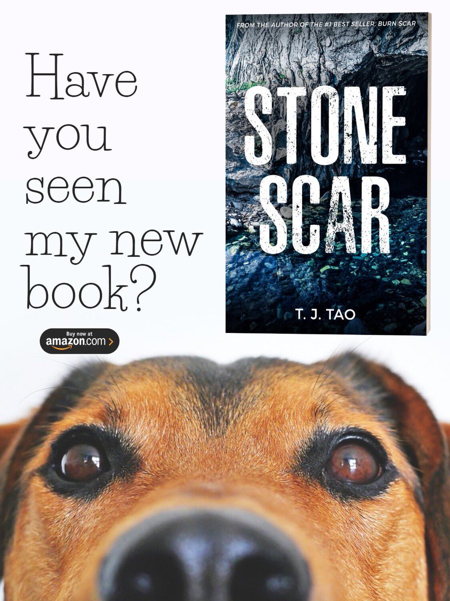 TJTaoBooks's tweet photo. @JulieKusma Go on a grand adventure this winter!

He was determined to find his life's purpose. He didn't realize he'd have to survive a journey through history, heaven, and hell to find it.

https://t.co/trM9yjc5b7 https://t.co/zizDPAoZ5E