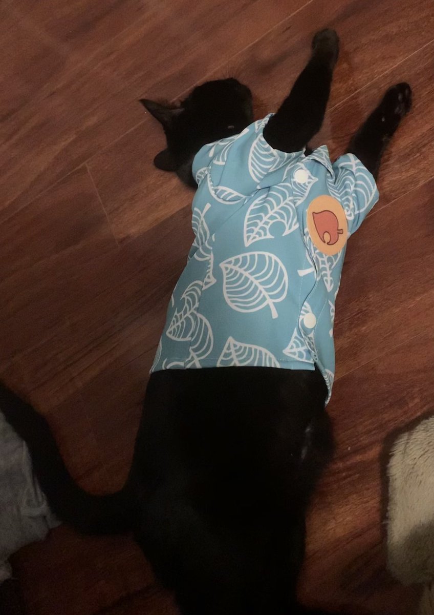 Otiosity's tweet photo. YALL MY SECRET SANTA GIFT CAME IN AND I WASNT SUPPOSED TO OPEN IT BUT... OH MY GOD 
SHE’s TOM NOOK https://t.co/mzC8o6T4OG