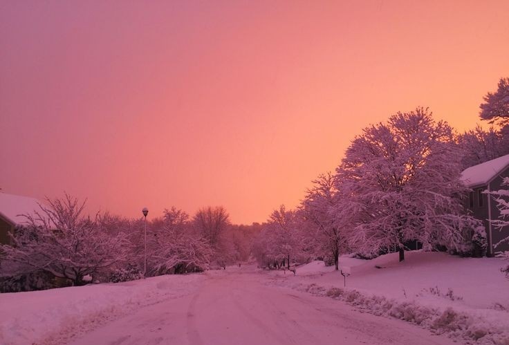 artemisinfurs's tweet photo. rosy winter https://t.co/MKZcmDuJxX