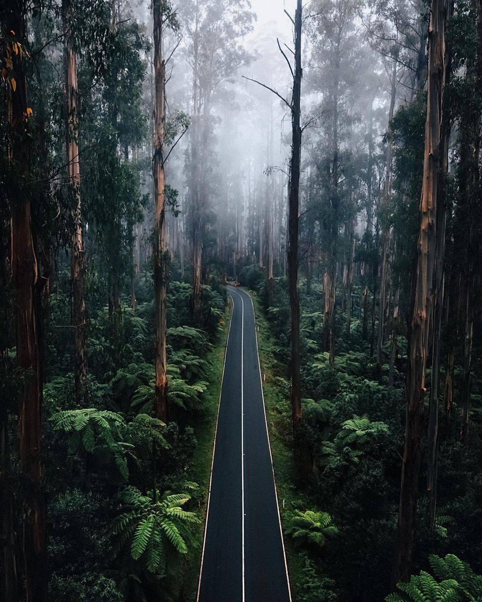 Looks so peaceful 🌲