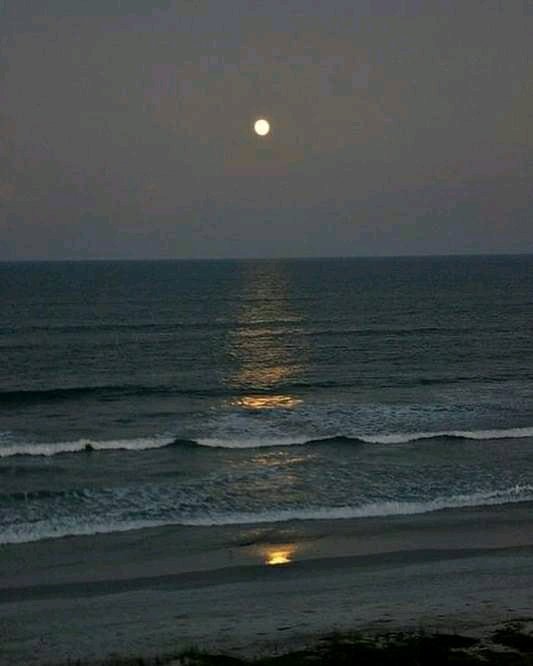 Classiques5's tweet image. 