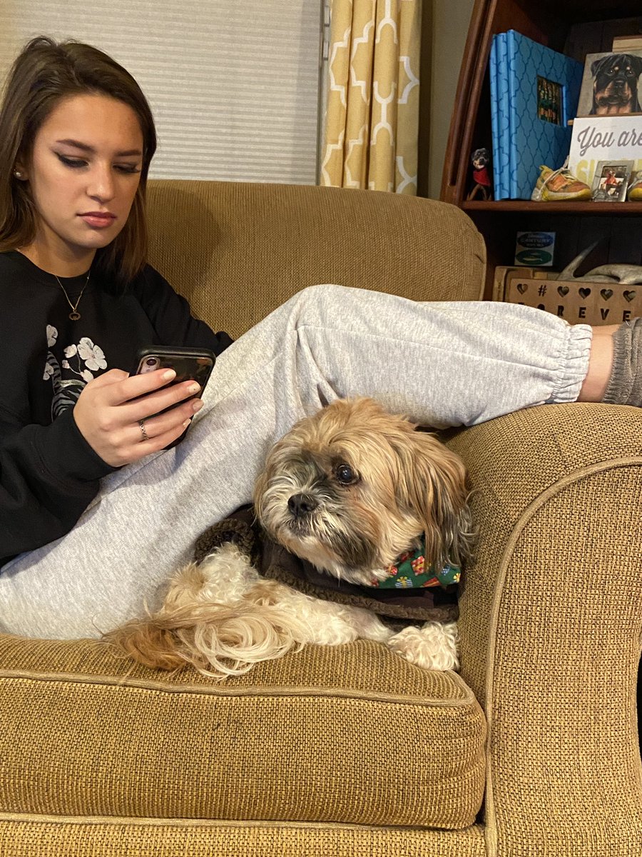 pottspac1's tweet photo. When you realize youโre Shih Tzu ๐ถ thinks your new surround sound is a thunder storm โ, you live without your subwoofer ๐ ๐คท๐ผโโ๏ธ#poorbaby #lilbuddy #lildogproblems #cooper https://t.co/cEst7ZRUxx