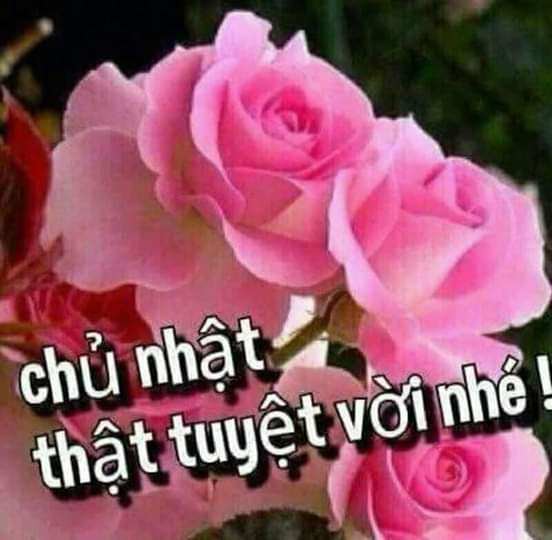 nhật nguyệt thần giáo on Twitter: Nhật Nguyệt Thần Giáo On Twitter: