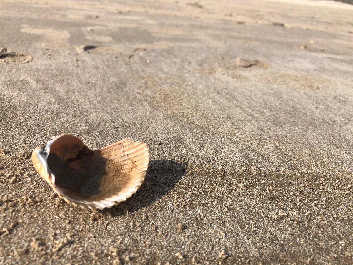 This is when the agency claims they gave you everything but you both know they didn’t. It is also known as a seashell with a piece missing and see we can all see it’s missing we know it’s supposed to be there now where is my data.