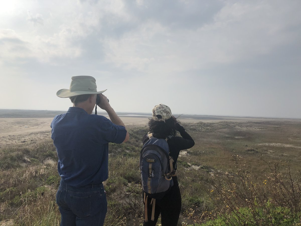 This is when you gotta call lawyers to help you fight for the records you seek, bc some agency is being shitty with you.It is also known as my quaranteam (*not actually lawyers) on vacation, checking out the dunes. 