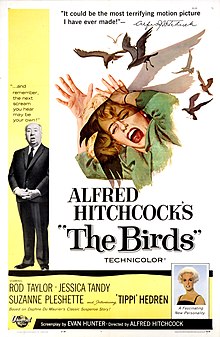 Nikprec's tweet image. Hot takes: 
-Mitch is a douchebag with mommy issues. 
-Melanie is a stalker.
-This is all a prelude to a Cthulhu movie.
#thebirds #technicallybirdwatching
