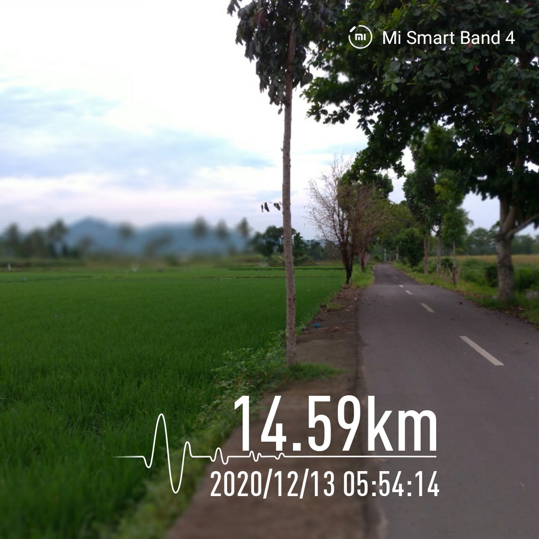 MasWoyo's tweet photo. Gowes pencitraan pagi ini.. https://t.co/4Me5rIX8gy