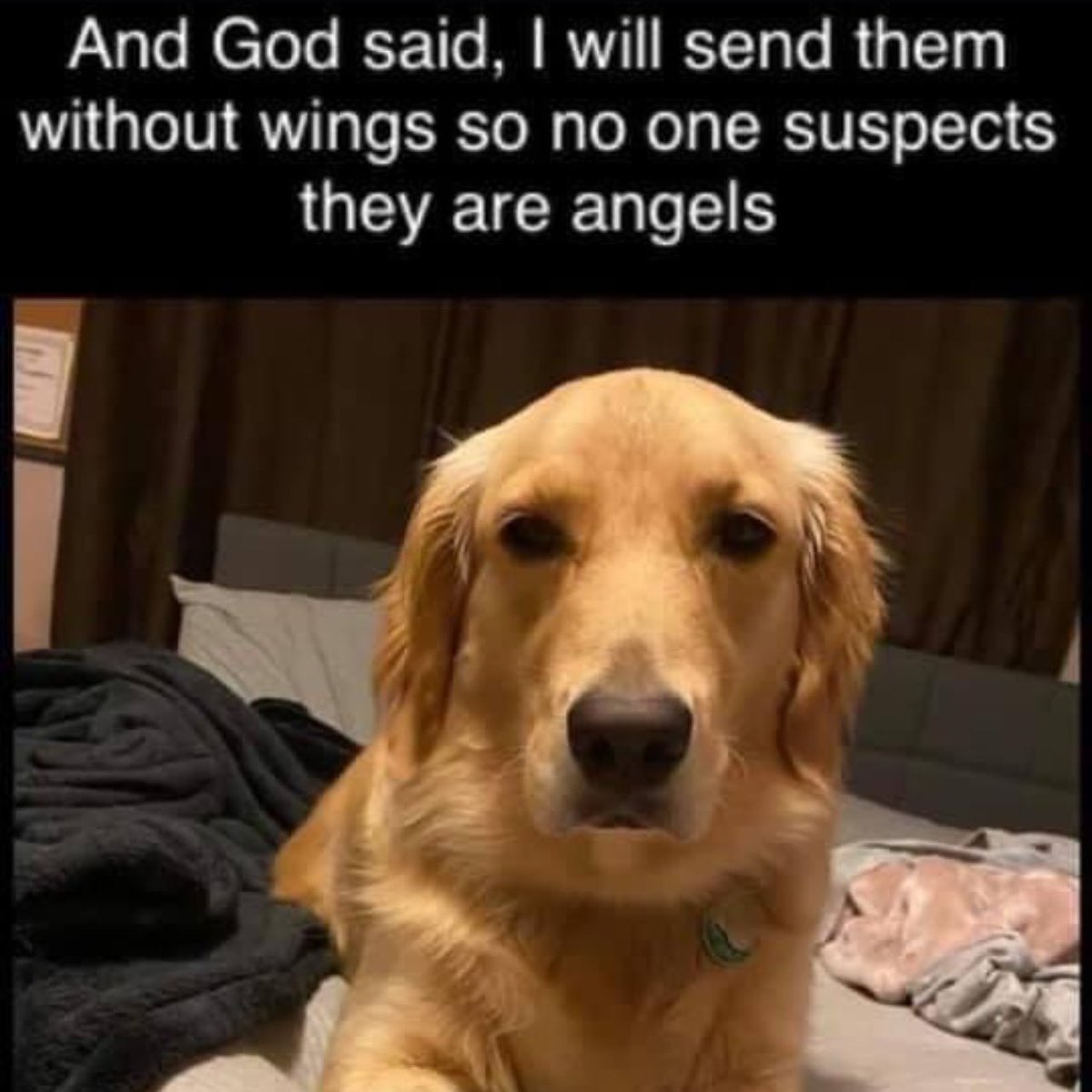 AshAlexiss's tweet photo. The most pure 😩 https://t.co/lxz9oLLEHQ