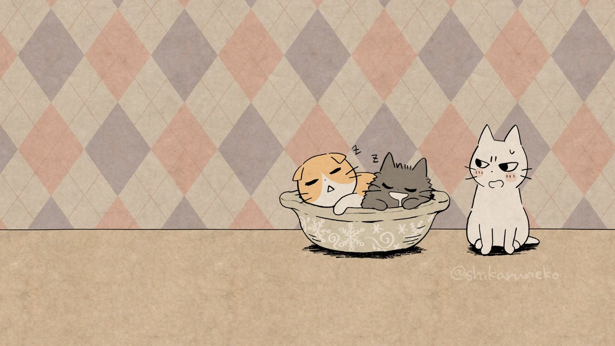 しかるねこ Tvミニアニメ化決定 しかるねこ Tvミニアニメ化決定