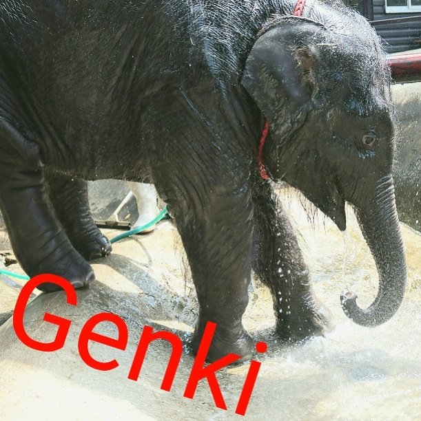 もも夏のtwitterイラスト検索結果