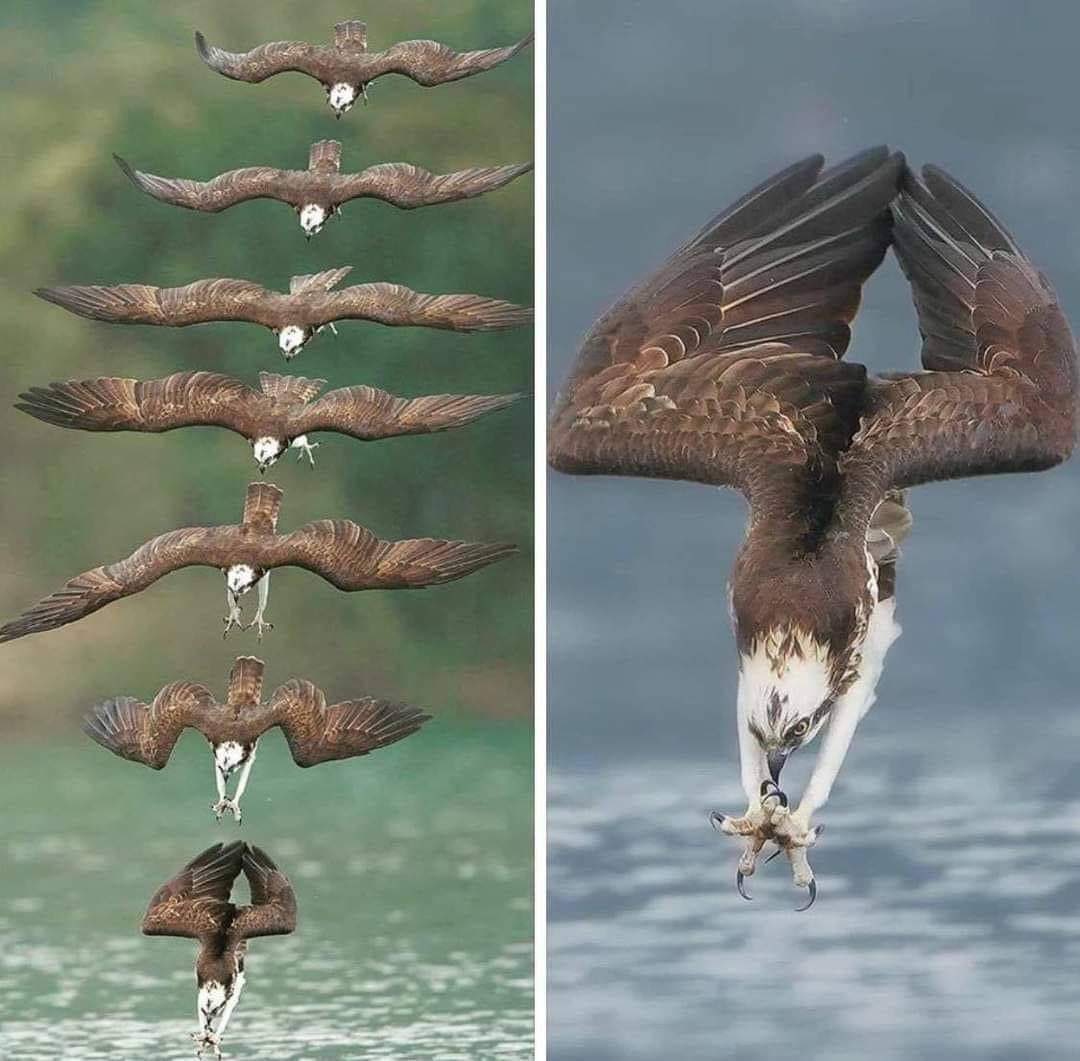narendrashah's tweet photo. Be this focused on your target!

Image Source: Internet https://t.co/erzqL4ZjQa