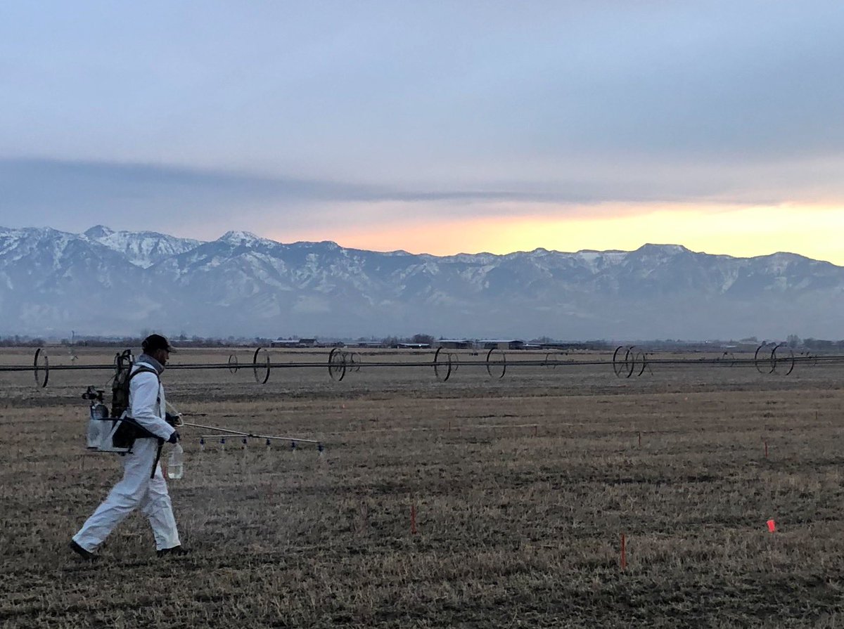 USUCropGuy's tweet photo. And just like that, the last herbicide trial of the year is out. Sometimes the crew even lets the old timer spray...💪❄️🥶 https://t.co/Obk5WgATUE