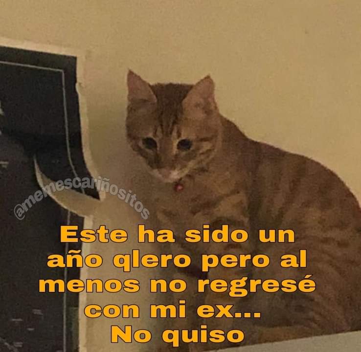 Me la robé por ahí.