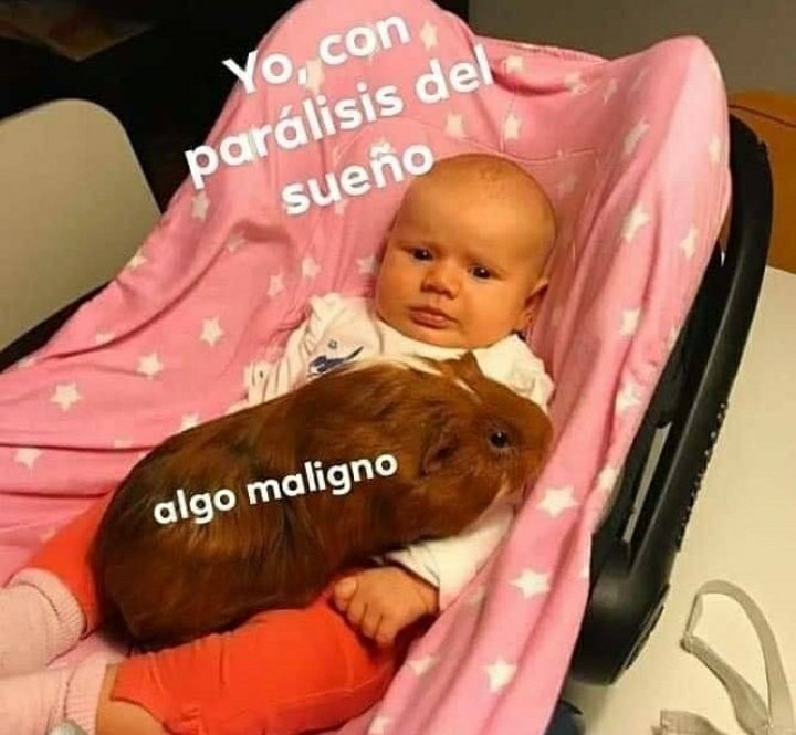 UnaBazofia's tweet photo. Buenas noches https://t.co/j12wpfw9Rg