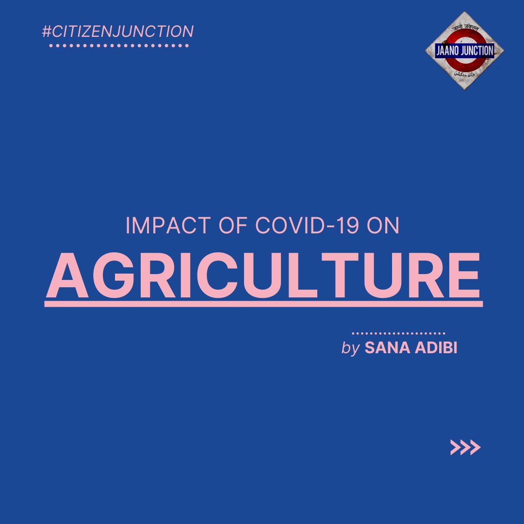 JaanoJunction's tweet photo. #CitizenJunction : Here’s a crisp report by Sana Adibi (@sana_adibi ) , Agriculturist, on how #Covid19 has impacted the agriculture and produce in India.
Creatives by Chhavi Arora (@chhaviaroraa ) https://t.co/tWk6RghZjs