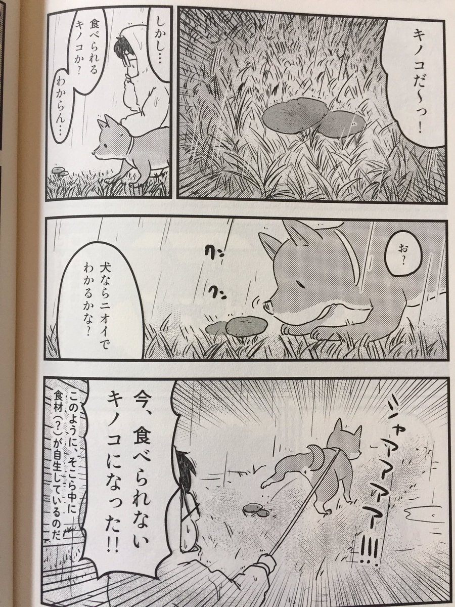 こことか好き?
(写真アップokもらってます?)
パウロさん笑わせてくれてありがとうございます? 