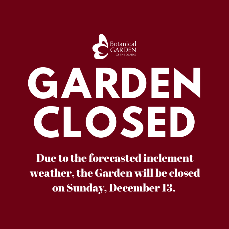 We will be closed Sunday, December 13 due to the forecasted winter weather heading our way.  Stay safe and warm friends! #ARwx #NWArk