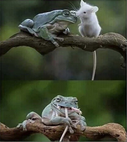 7. "Hardcore Nature"