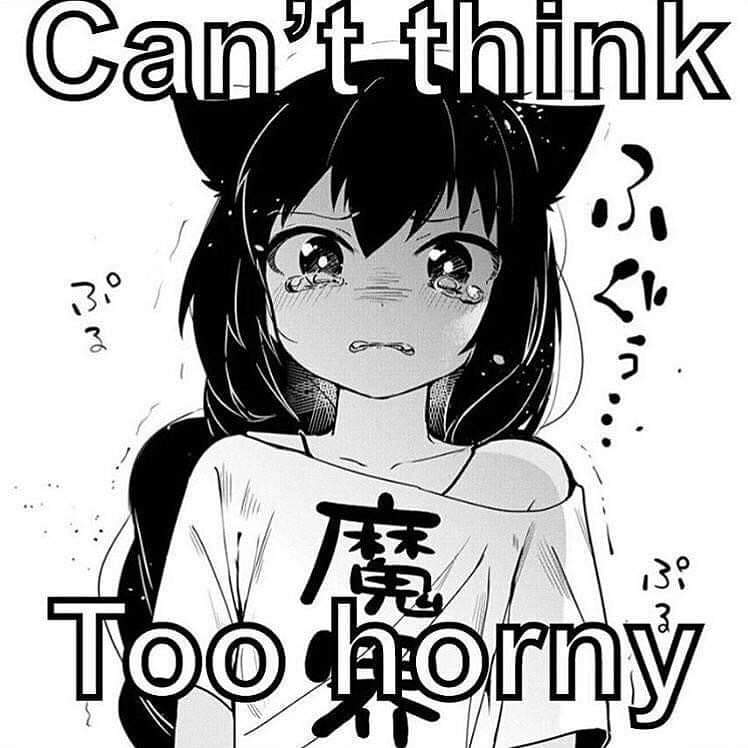 Blake Belladonna (@shadowcatsmeow) on Twitter photo 