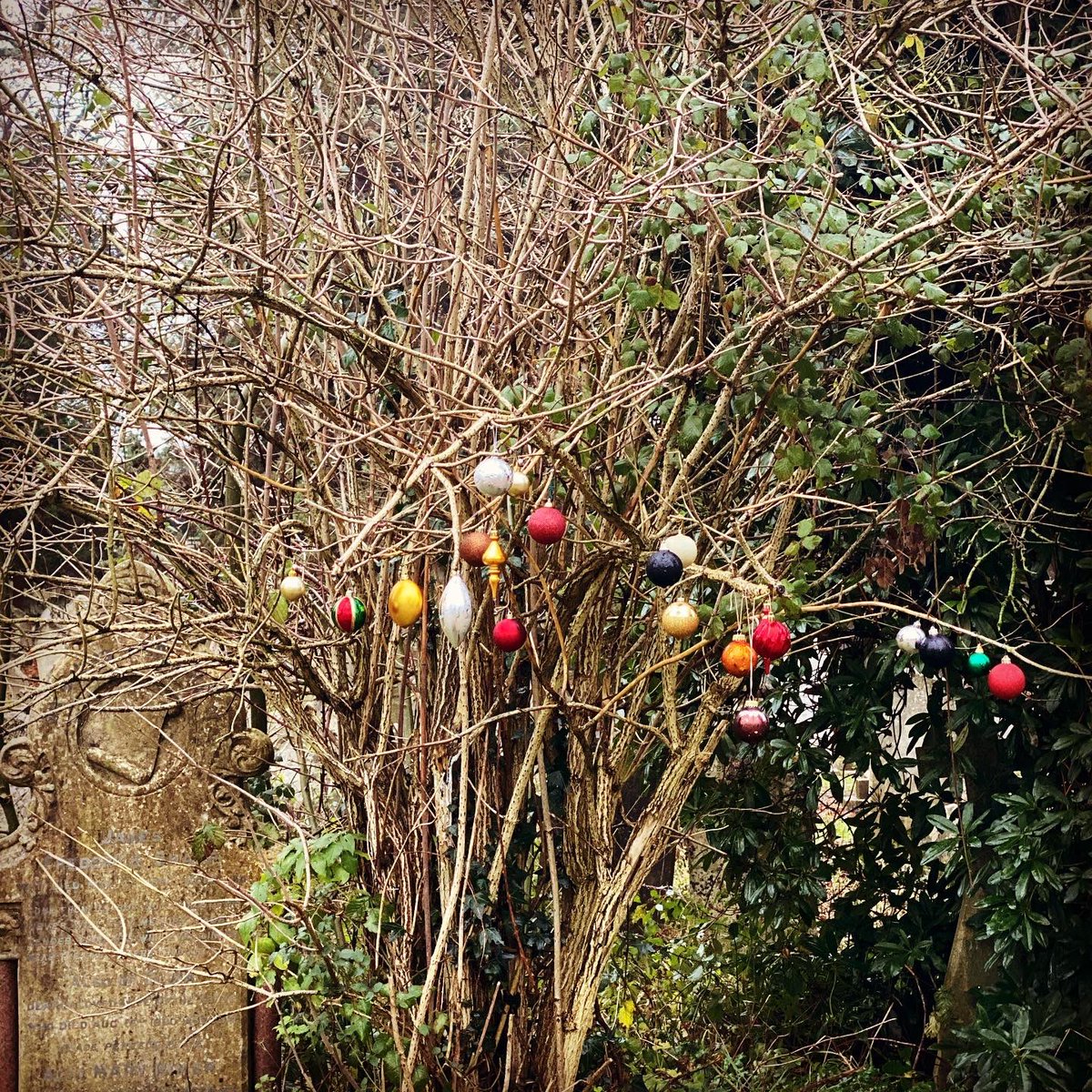 Samantha Hiscock tweet media