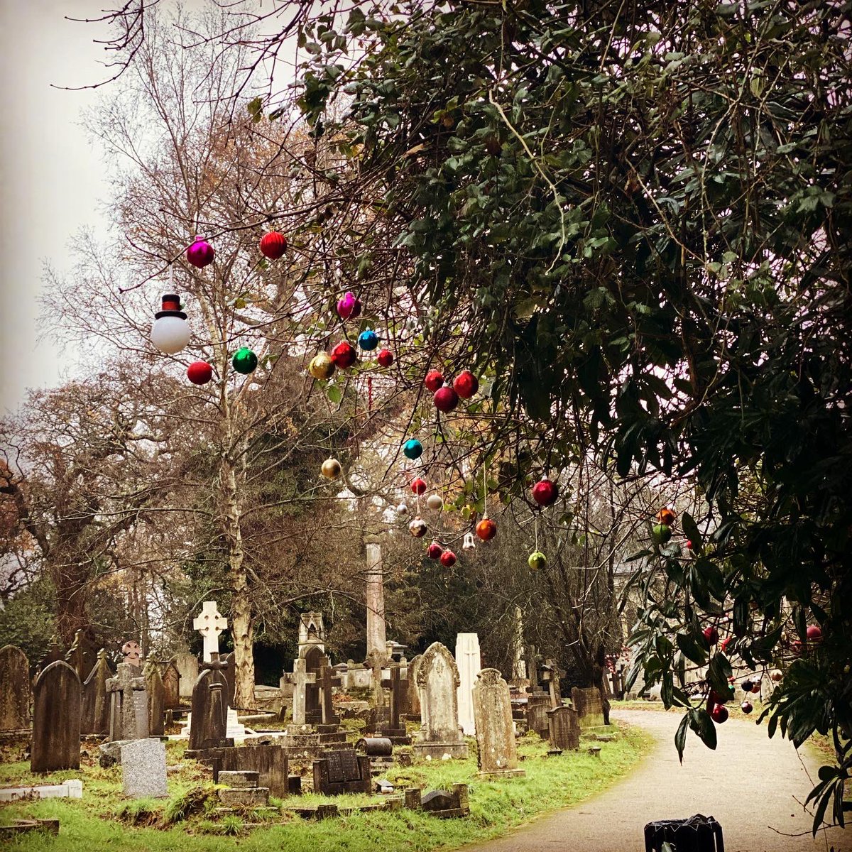 Samantha Hiscock tweet media