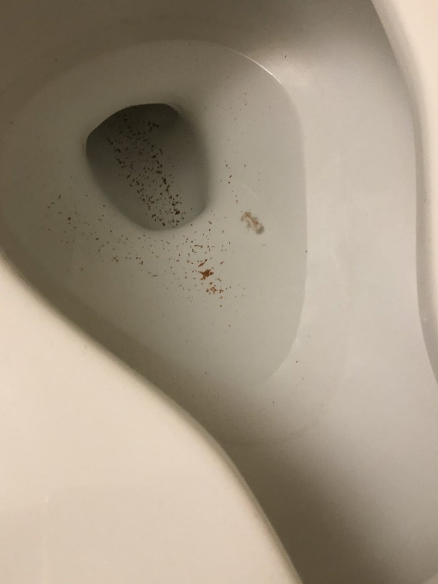 blqckdyke's tweet photo. this is a quarantine room provided by UGA for its students 🤮🤮 and yes those are dead bugs in the shower #godawgssickem @universityofga https://t.co/z3a1BmU6mt