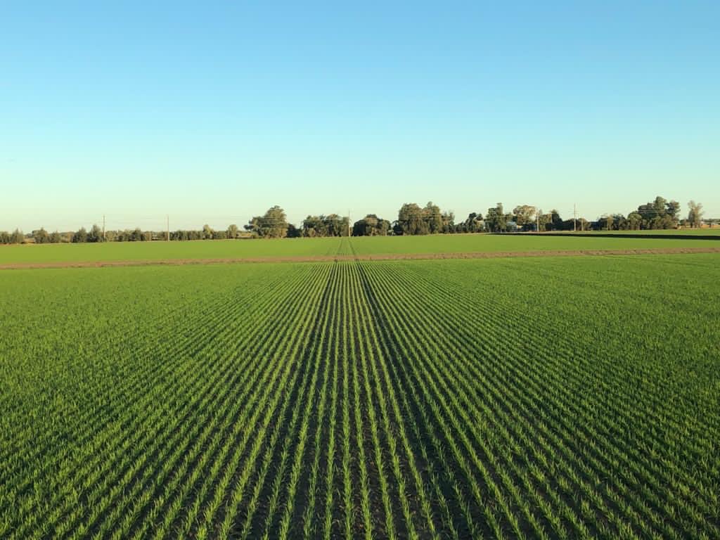 ryanmcgoldrick's tweet photo. @seanbetts1 #enjoyinit365 on my farm :) https://t.co/se2Qygrt6o