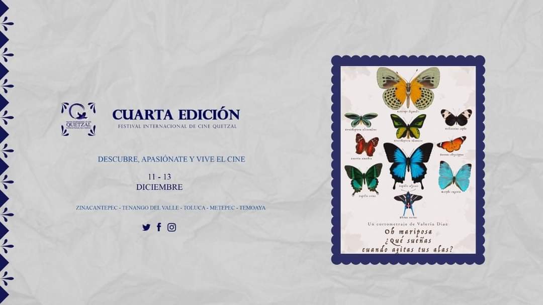 quetzalfest's tweet photo. Disfruta en nuestra 4ta edición digital de "Oh mariposa ¿Qué sueñas cuando agitas tus alas?" uno de los Cortometrajes que participan en nuestra selección oficial.
Festival Internacional de Cine Quetzal del 11 al 13 de Diciembre 2020.
#QIFF2020 #MIOTT https://t.co/naLBtI68Xo