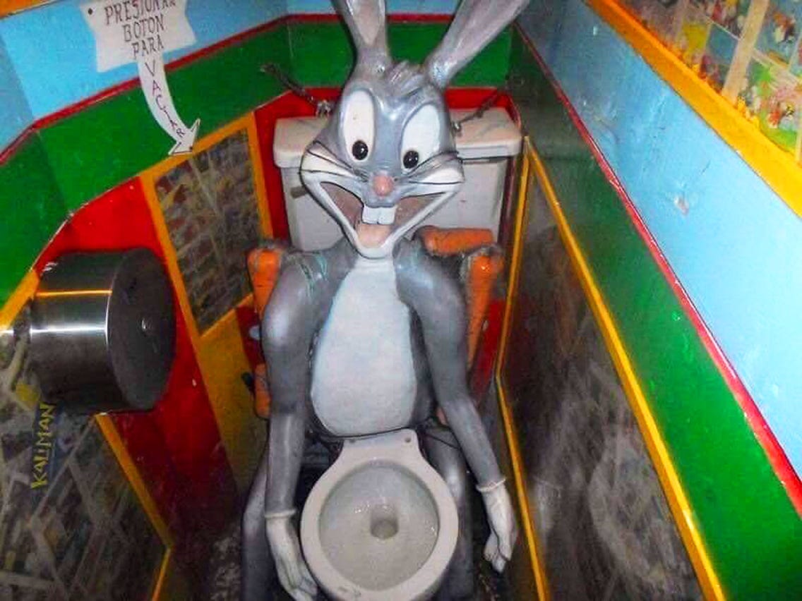 18. "'Unconventional' Toilets"