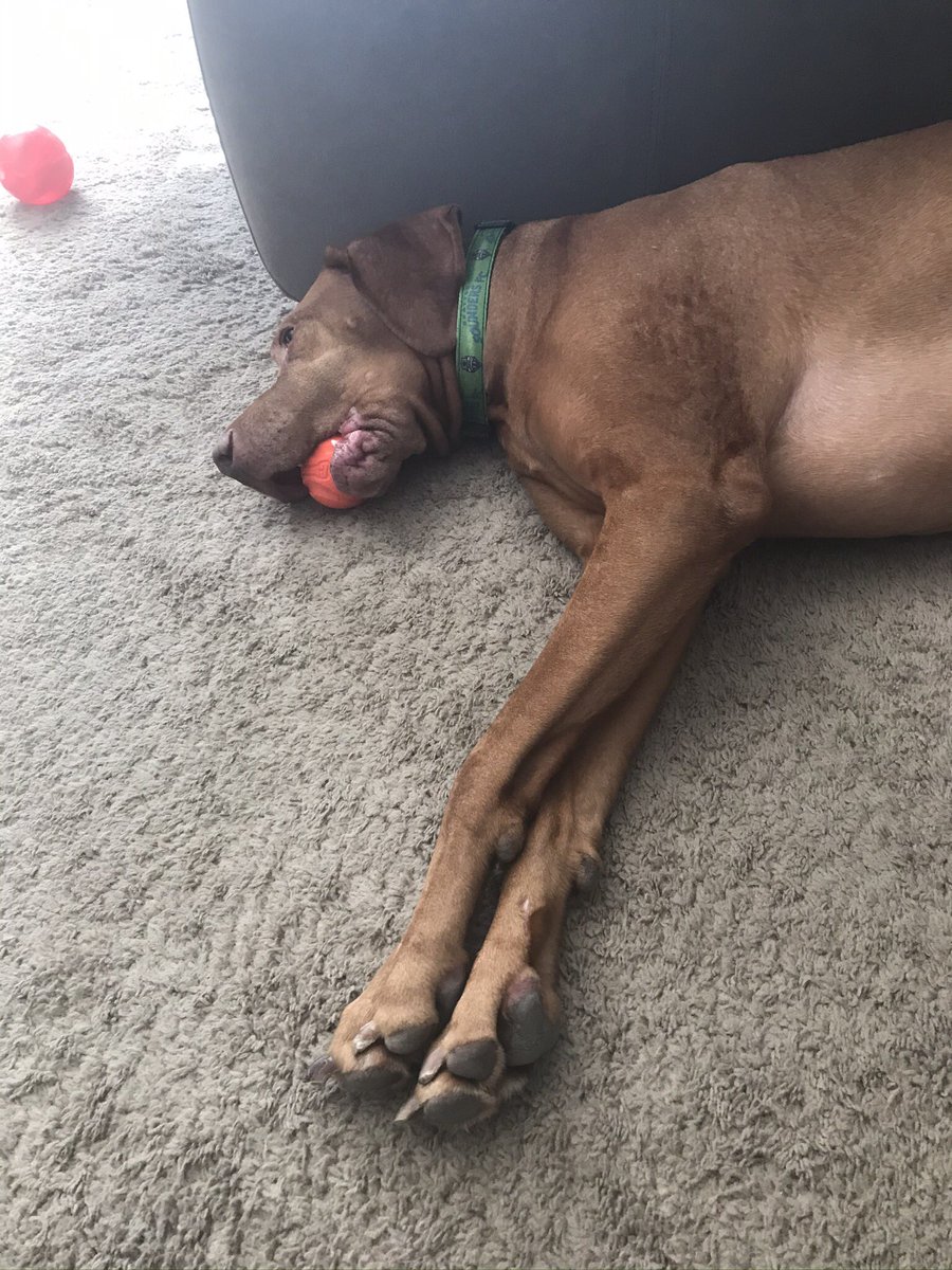a_better_bacon's tweet photo. @sounderatheart Keller has already made a save for the Sounders... https://t.co/d8rAOYs6VA