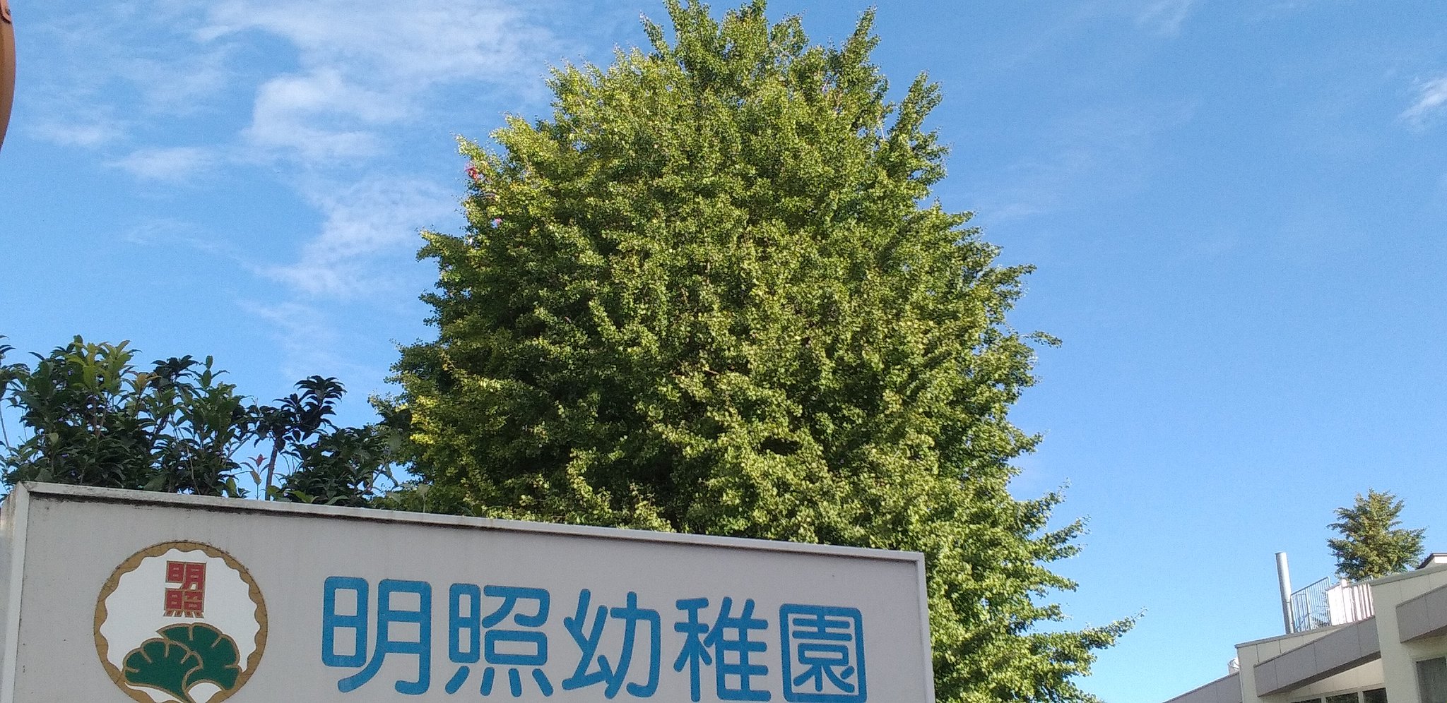 明照幼稚園 Twitter Search Twitter