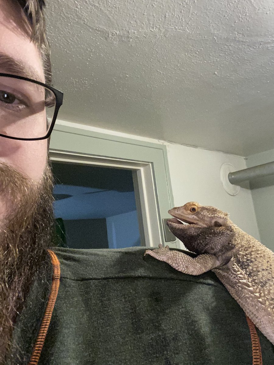 BicepsBeards's tweet photo. How dare I prep his bath water https://t.co/9nF7QKrpks