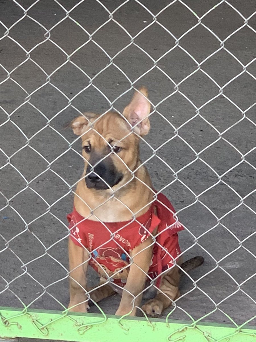 น่าจัวๆๆ