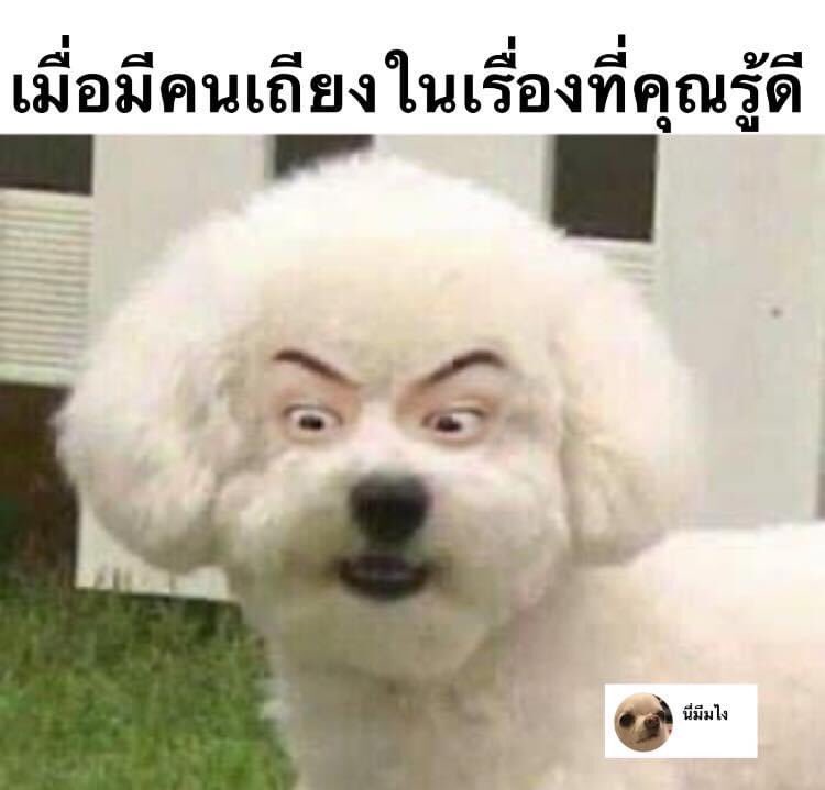 มึงอันนี้เซฮุนปะวะ5555555555555 อิเหี้ย55555555555555555555