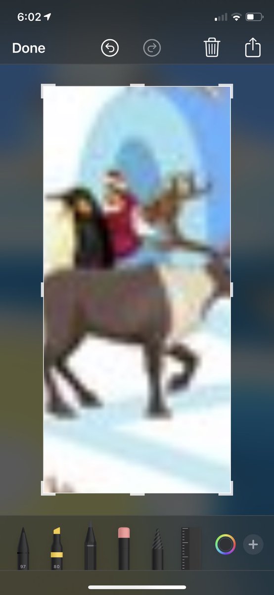 Kawhi not tweet media