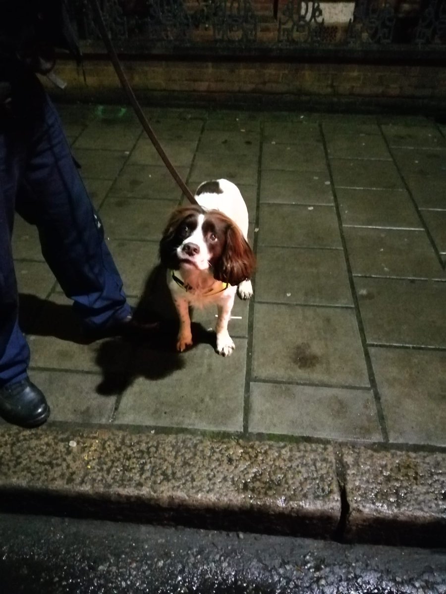 MetTaskforce's tweet photo. Tremendous Taskforce success last night after a stop on #ColdharbourLane @LambethMPS PD Reggie assisted U43 us as we found 34 snap bags of class A &amp; £4770 hidden in a car. Both parties have been charged &amp; remanded today. #StopAndSearch^4823U https://t.co/Z1Bjvz62iJ