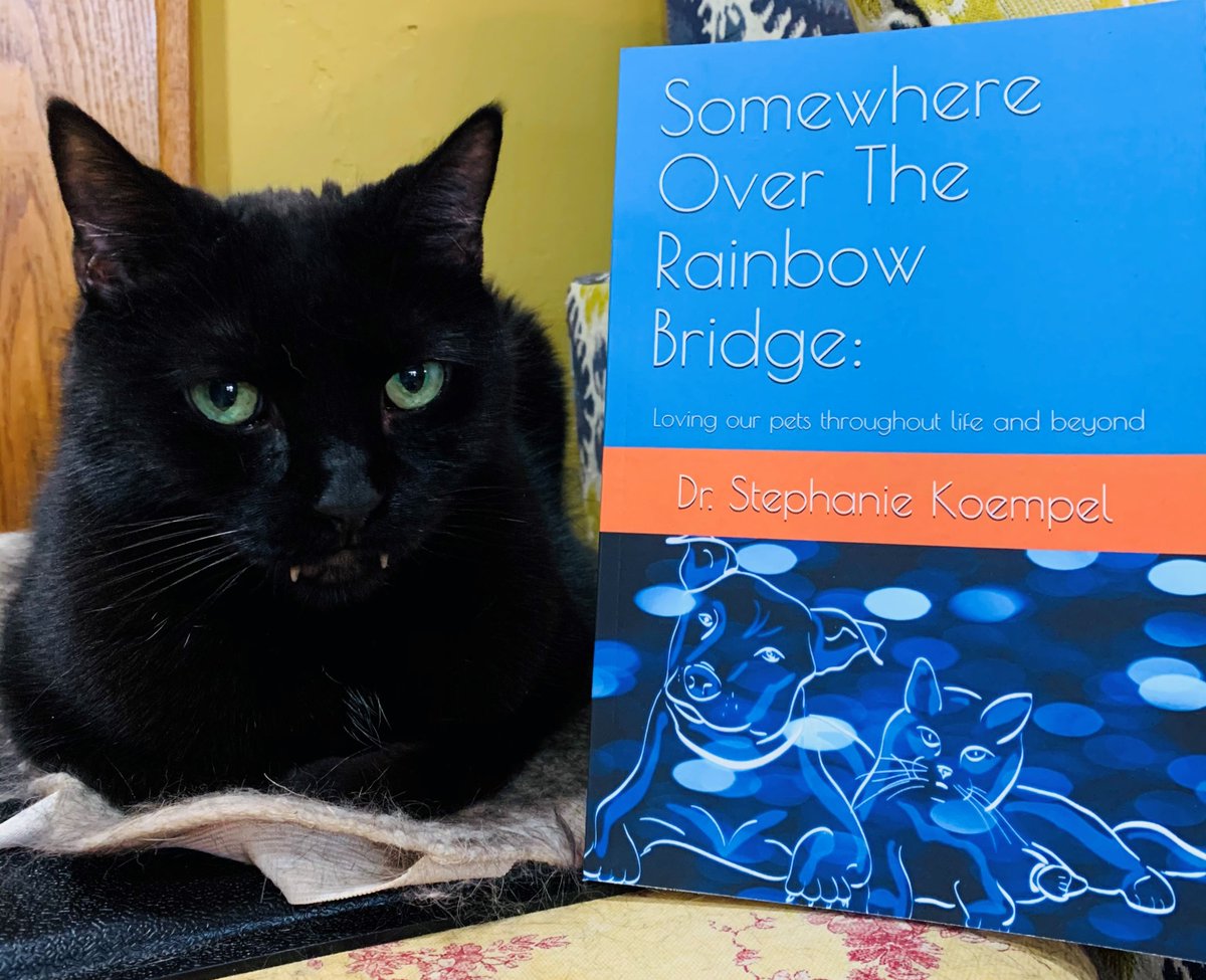 GriefPet's tweet photo. Unfortunately my mom wrote about me in her book now I am stuck helping her promote the darn thing.🙄➡️https://t.co/keCnKqERpB via @amazon #writer 
#writings #story #author #loverwriting #booklove #reader #booklovers #bookaddict #bookshelf #reading #goodreads #readers #books #book https://t.co/rqPRmOtvS9