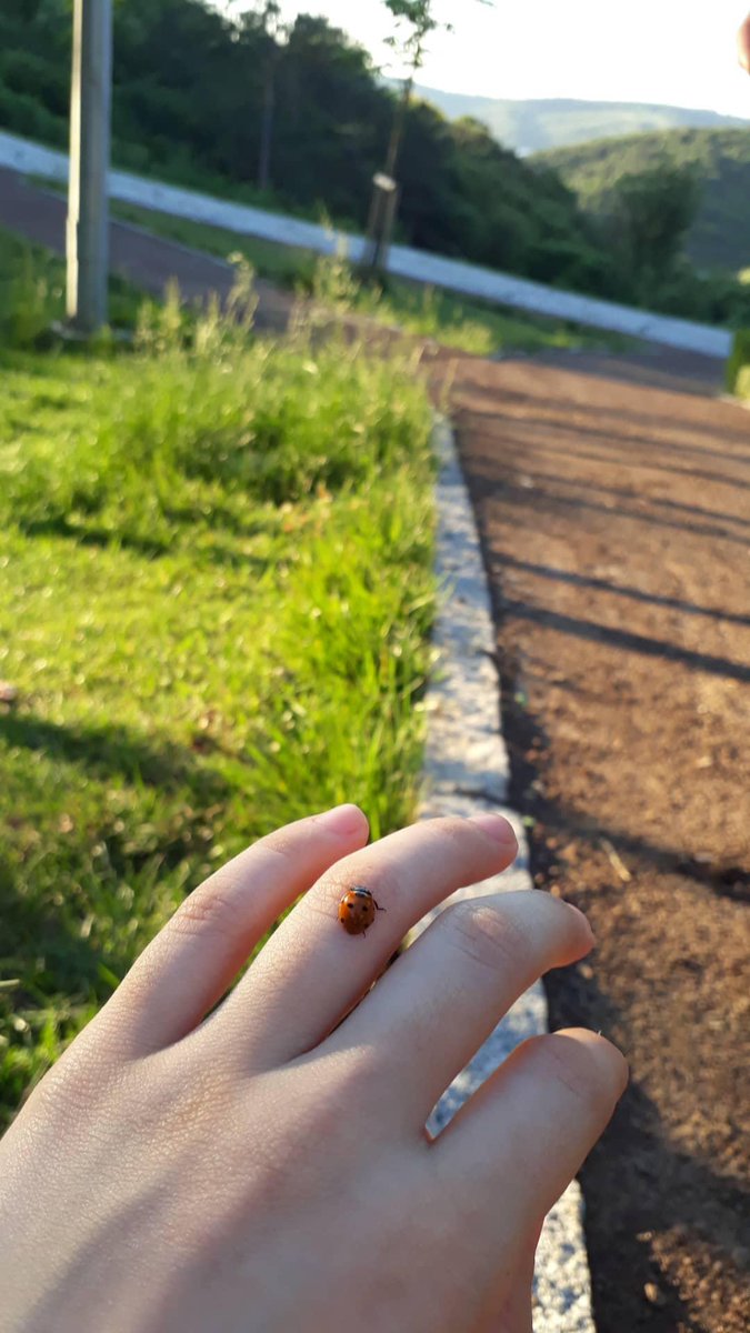pascalyaaa's tweet photo. Tek taş olması gereken parmağımda uğur böceği taşıyorum 😏 https://t.co/m6YJHErLi8