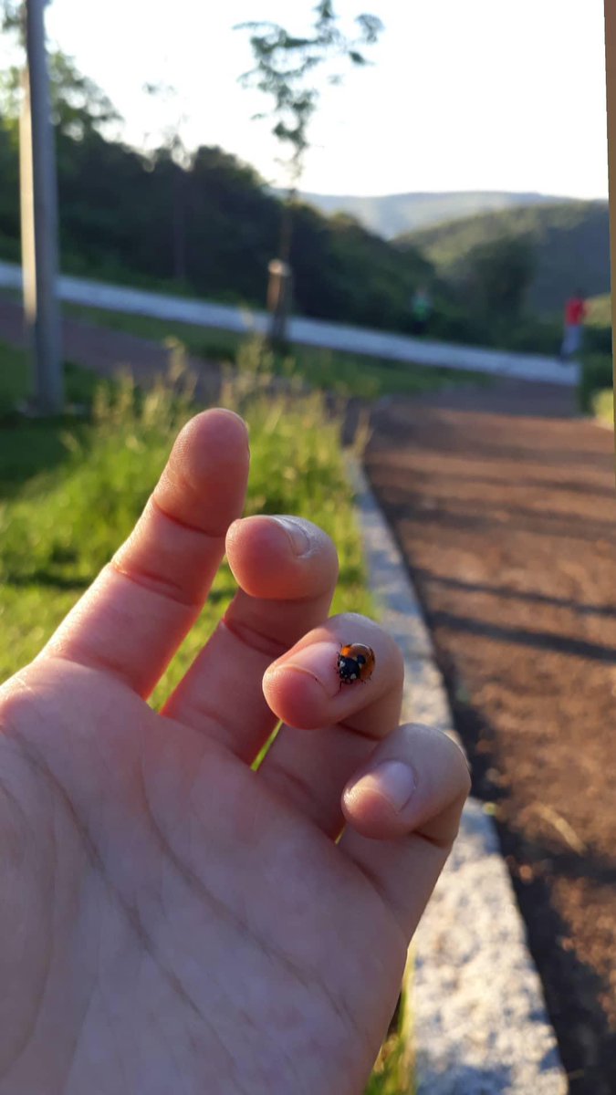 pascalyaaa's tweet photo. Tek taş olması gereken parmağımda uğur böceği taşıyorum 😏 https://t.co/m6YJHErLi8