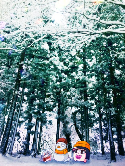 「雪だるま 木」のTwitter画像/イラスト(古い順)