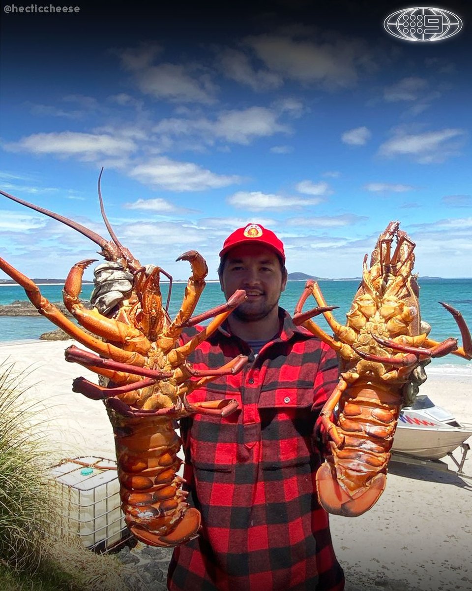 NRL on Nine tweet media