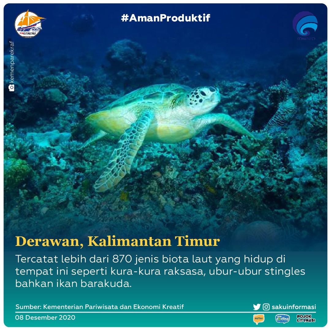 Our Ocean is our future 

#HariNusantara2020 

#travelingIndonesia
#IndonesiaBeautiful
#TravelingARoundTheWorld